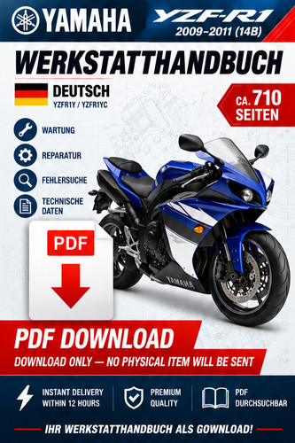 Yamaha yzf 2009 - yamaha, 14